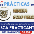 Vacantes para trabajar en MINERA GOLDFIELDS PERU SA 7 Plazas Disponibles