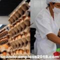 Fabrica Solicita Personal Para Empacar Huevos Ecologicos desde su casa