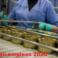 Fabrica internacional Solicita Personal para Empacar Latas de Salmon Desde casa Plazas Limitadas