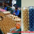 Importadora Requiere Personal Para Empacar Adornos de Navidad desde casa Plazas Limitadas