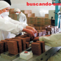 Urgente Se Solicita Personal para Empacar Barras de Chocolate Navideño Por Campaña Plazas Limitadas