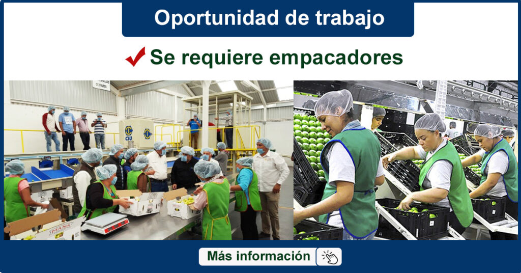 Se Requiere Personal para Empacar Frutas Desde tu casa Plazas Limitadas