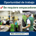Se Requiere Personal para Empacar Frutas Desde tu casa Plazas Limitadas