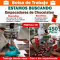WINTER Necesita Urgente Personal PARA EMPACAR bolsas de chocolate desde casa