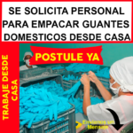 Importadora Requiere Plantilla Para Empacar Guantes Latex desde casa