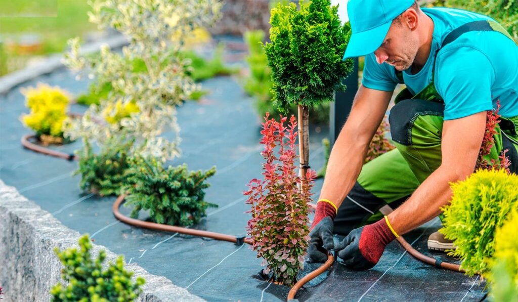 Se Necesitan Jardineros para trabajar manteniendo parques en USA (1)